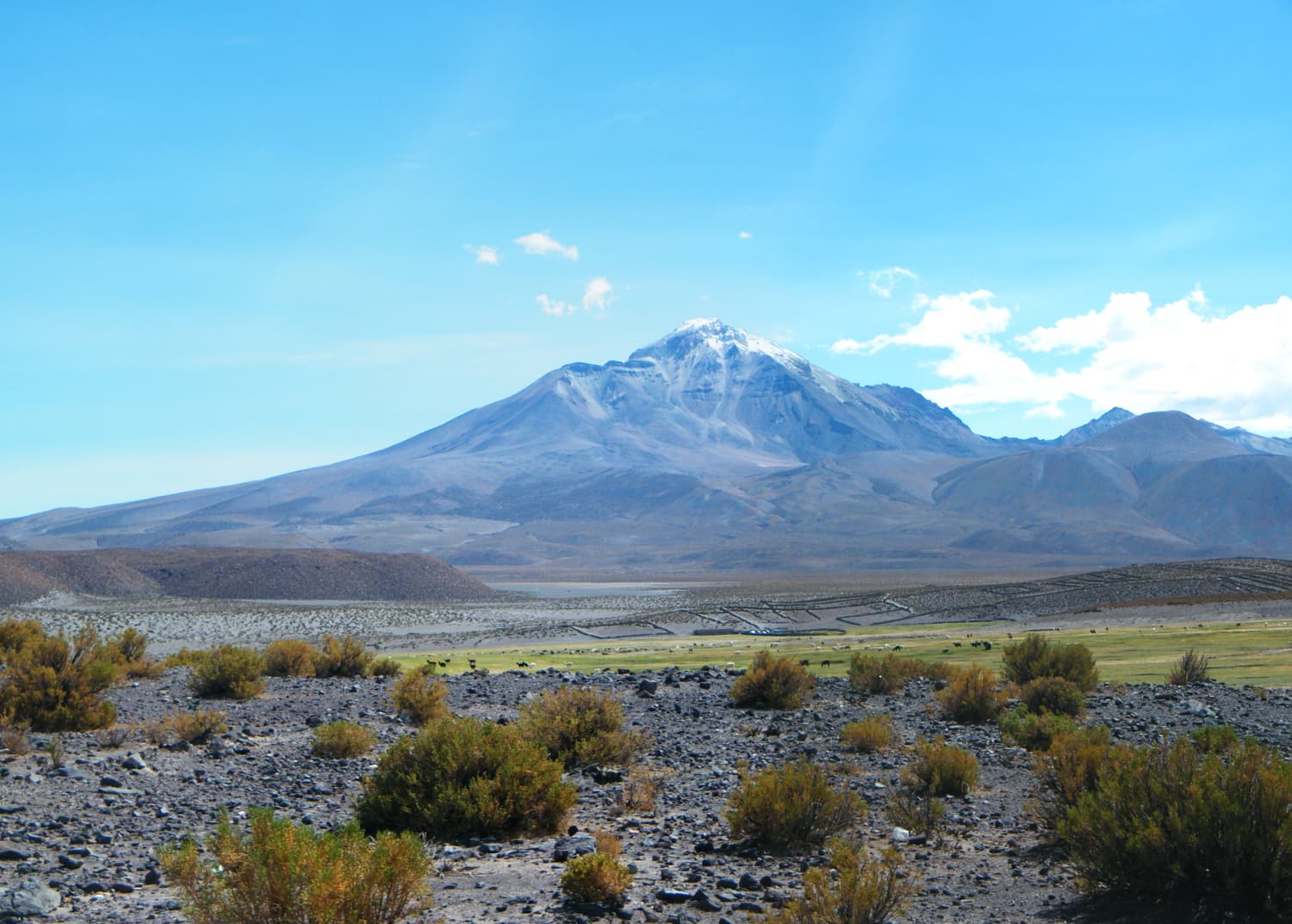 The Isluga volcano rising above the altiplano in northern Chile