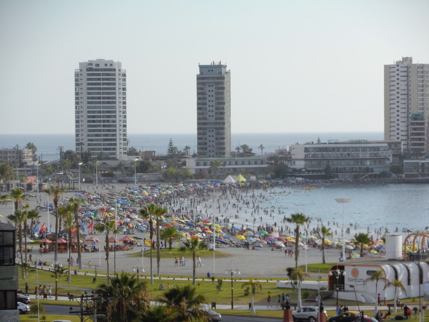 Sunshades and swimmers crowd the sand of Playa Cavancha in Iquique, with palms and apartment towers behind