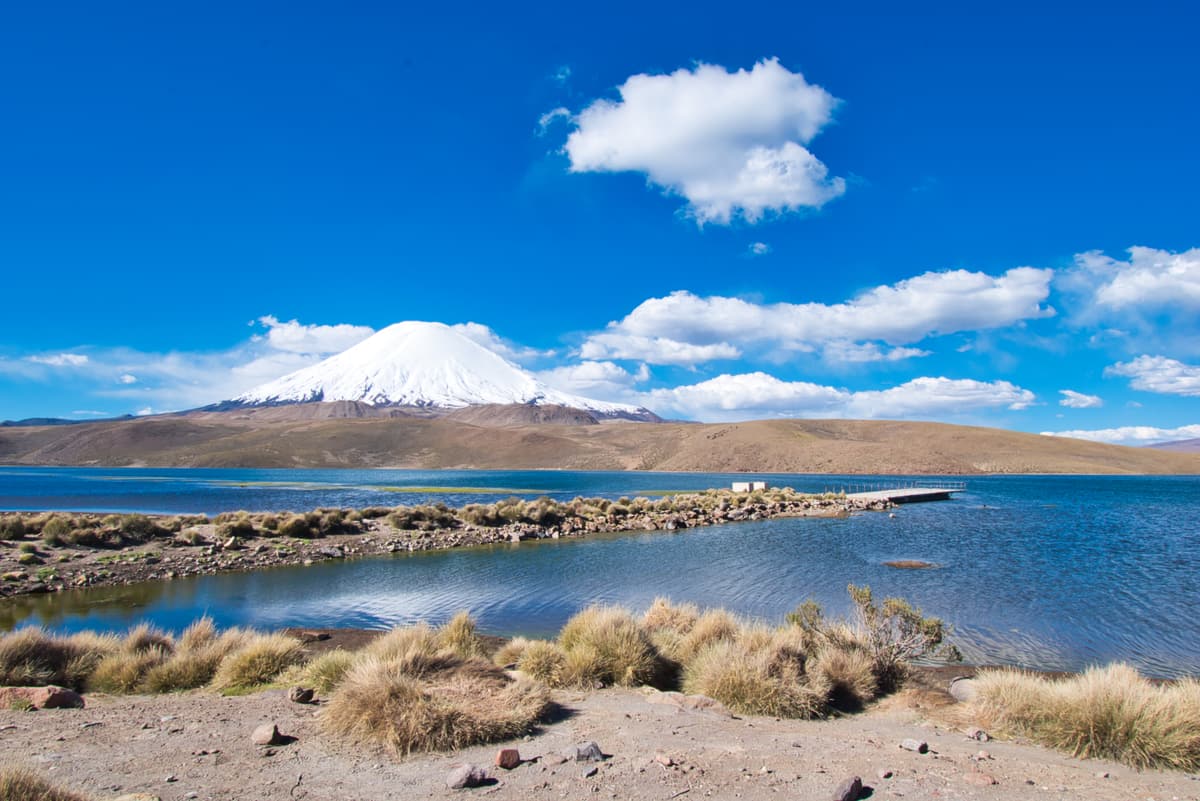 Lake Chungará with the snow-capped Parinacota volcano behind